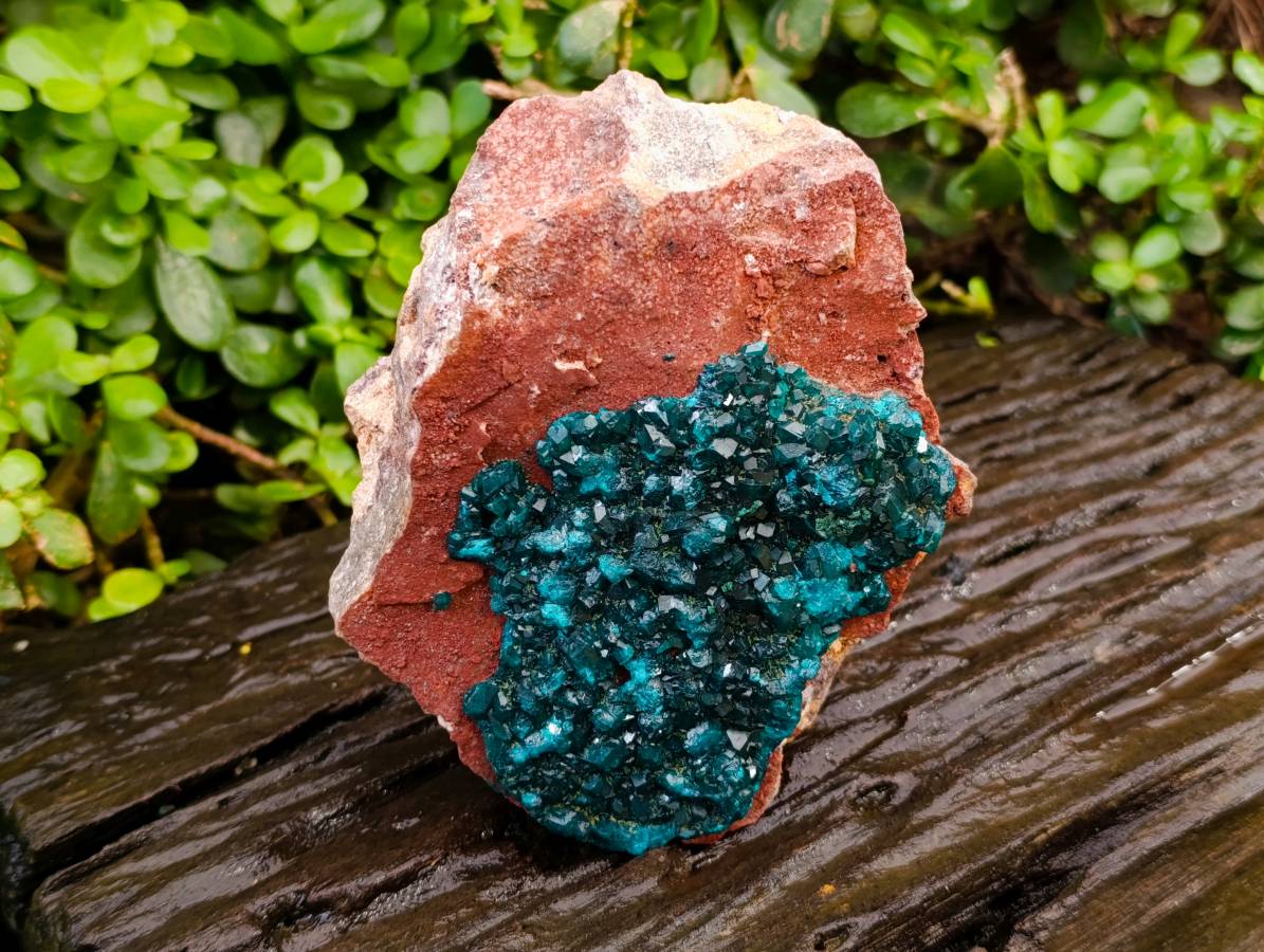 Natural Dioptase On Dolomite Specimens x 1 From Likasi, Congo - Toprock Gemstones and Minerals 