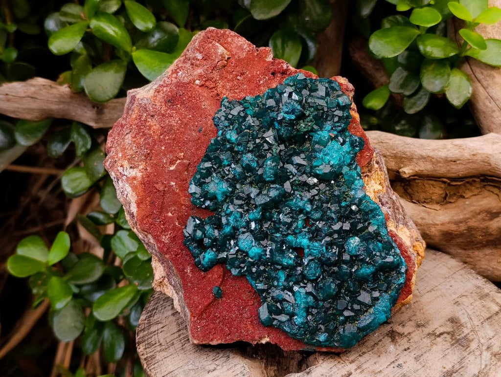 Natural Dioptase On Dolomite Specimens x 1 From Likasi, Congo - Toprock Gemstones and Minerals 