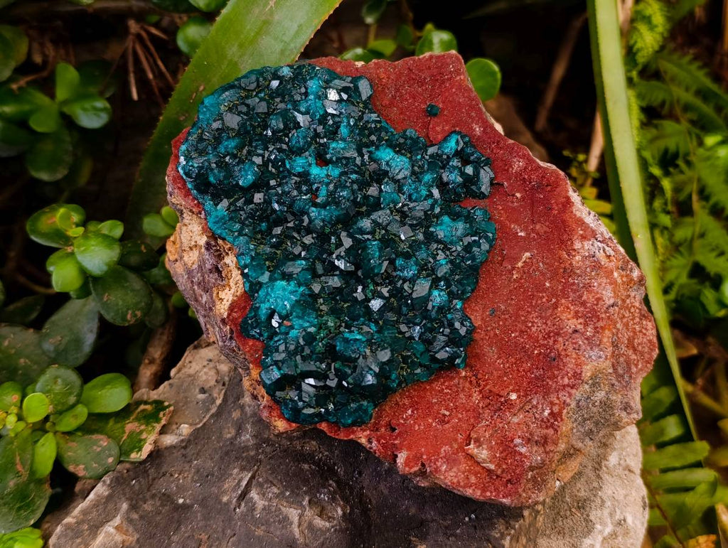 Natural Dioptase On Dolomite Specimens x 1 From Likasi, Congo - Toprock Gemstones and Minerals 