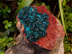 Natural Dioptase On Dolomite Specimens x 1 From Likasi, Congo - Toprock Gemstones and Minerals 