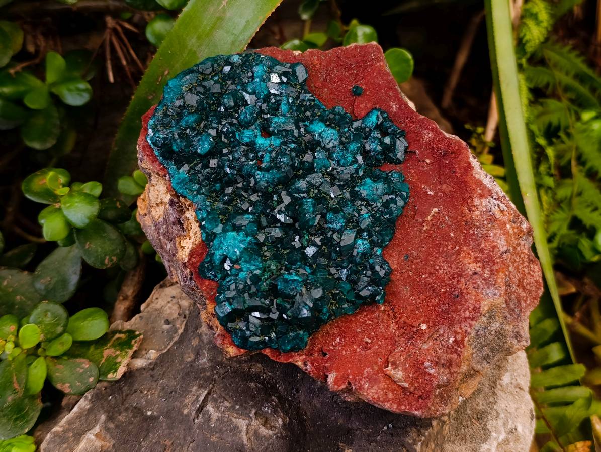 Natural Dioptase On Dolomite Specimens x 1 From Likasi, Congo - Toprock Gemstones and Minerals 