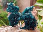 Natural Dioptase On Dolomite Specimens x 6 From Likasi, Congo - Toprock Gemstones and Minerals 