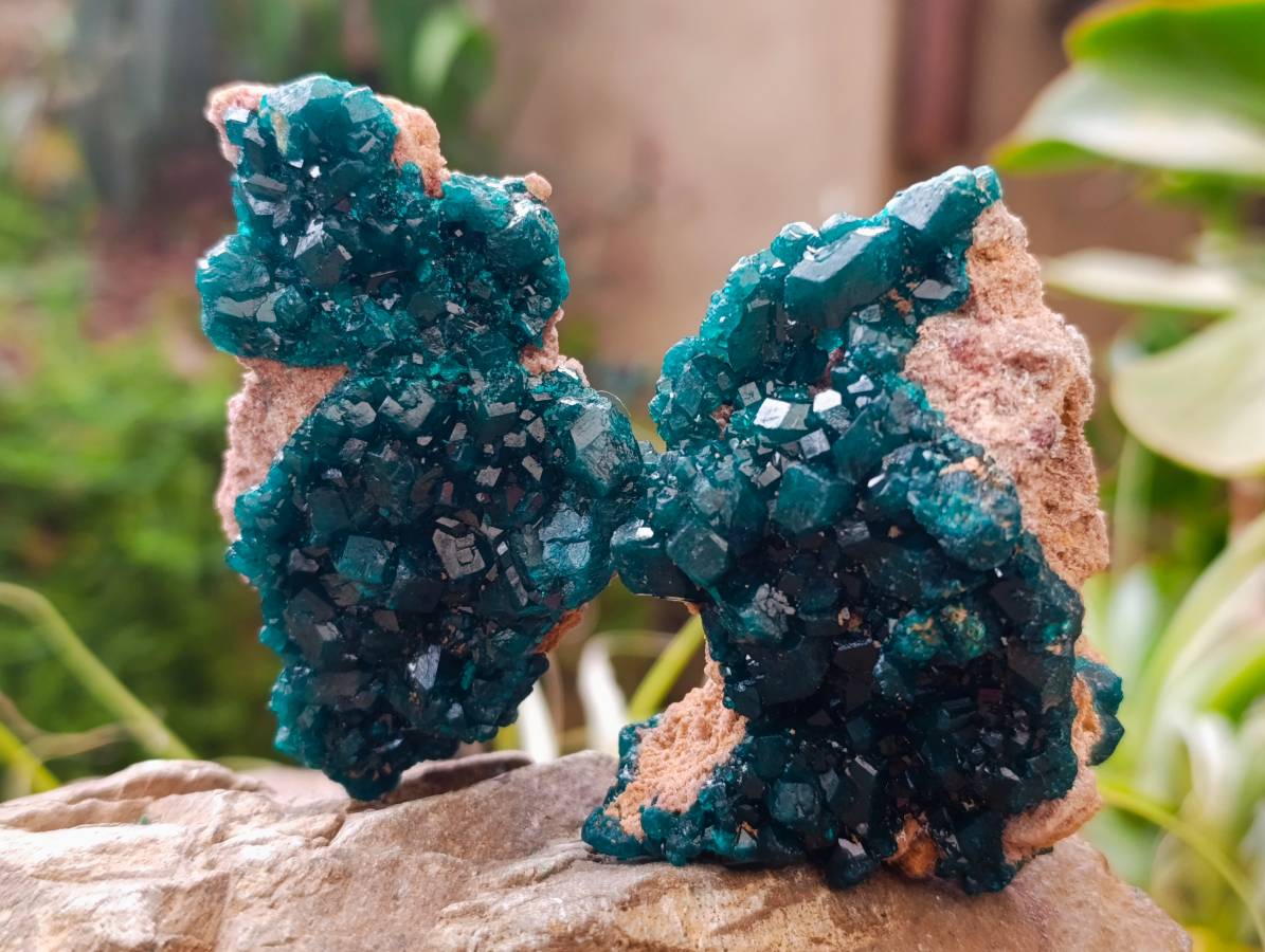 Natural Dioptase On Dolomite Specimens x 6 From Likasi, Congo - Toprock Gemstones and Minerals 