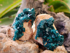 Natural Dioptase On Dolomite Specimens x 6 From Likasi, Congo - Toprock Gemstones and Minerals 