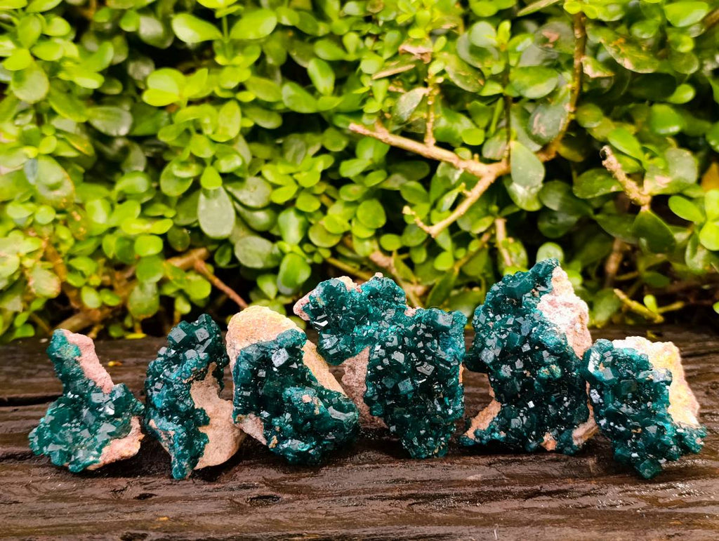 Natural Dioptase On Dolomite Specimens x 6 From Likasi, Congo - Toprock Gemstones and Minerals 