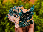 Natural Dioptase On Dolomite Specimens x 6 From Likasi, Congo - Toprock Gemstones and Minerals 