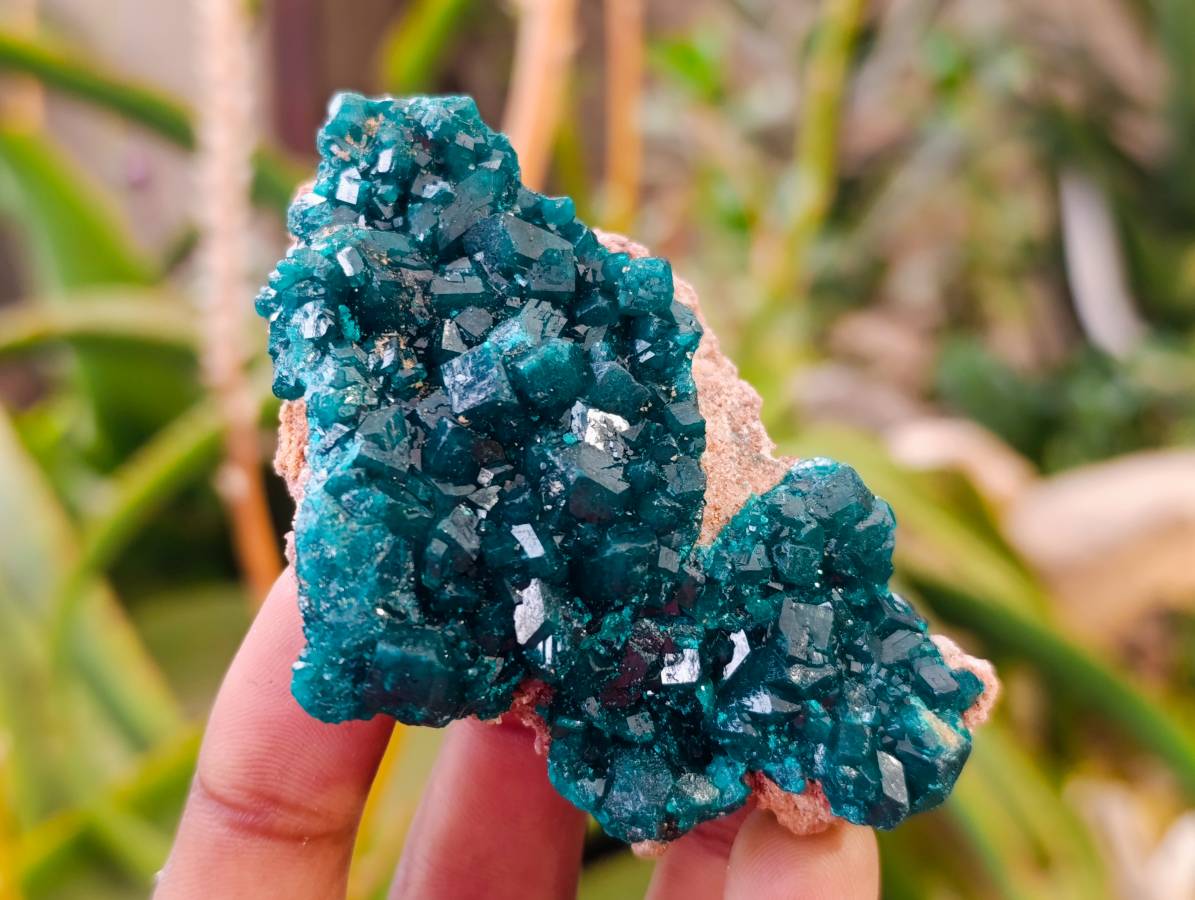 Natural Dioptase On Dolomite Specimens x 6 From Likasi, Congo - Toprock Gemstones and Minerals 