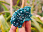 Natural Dioptase On Dolomite Specimens x 6 From Likasi, Congo - Toprock Gemstones and Minerals 