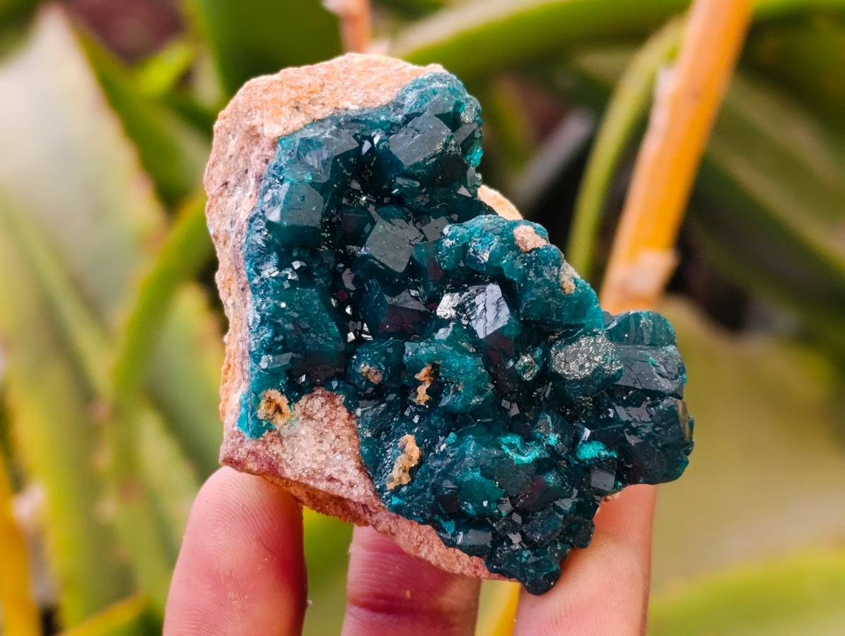Natural Dioptase On Dolomite Specimens x 6 From Likasi, Congo - Toprock Gemstones and Minerals 