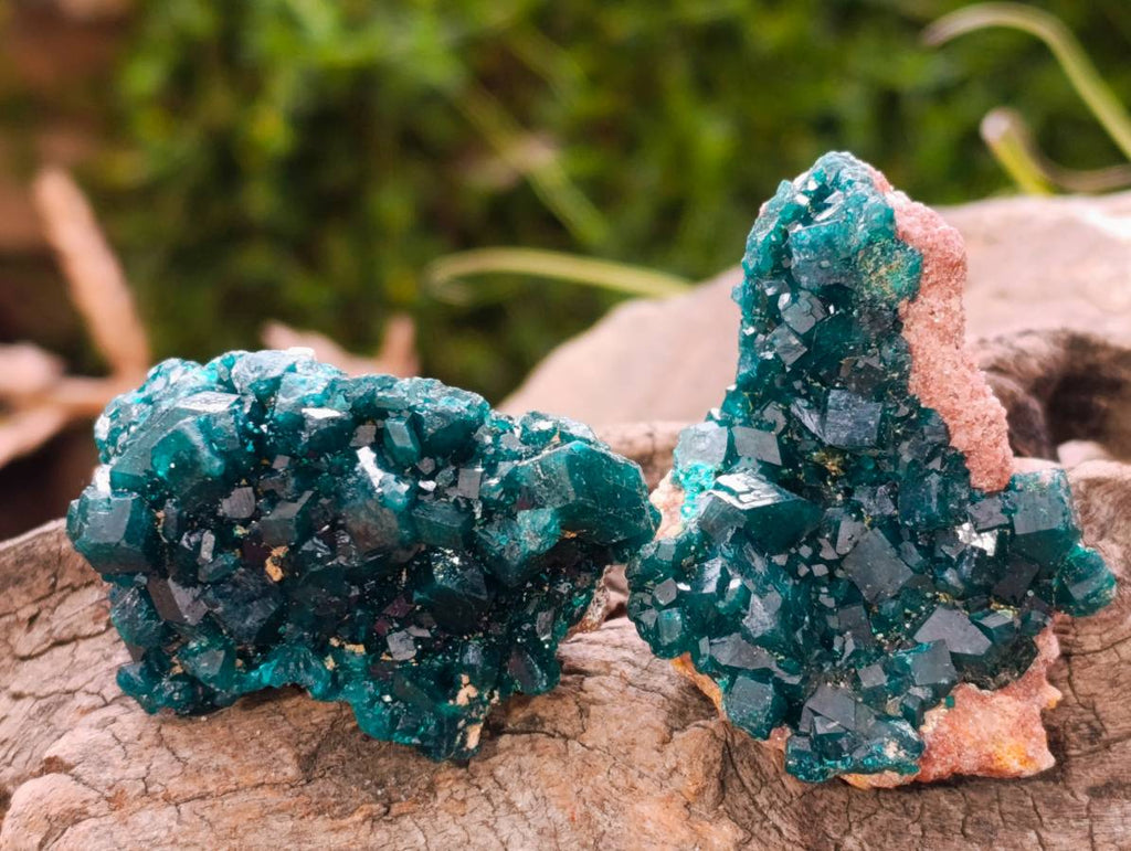 Natural Dioptase On Dolomite Specimens x 6 From Likasi, Congo - Toprock Gemstones and Minerals 