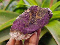 Natural Metallic Purpurite Specimens x 6 From Erongo, Namibia - Toprock Gemstones and Minerals 