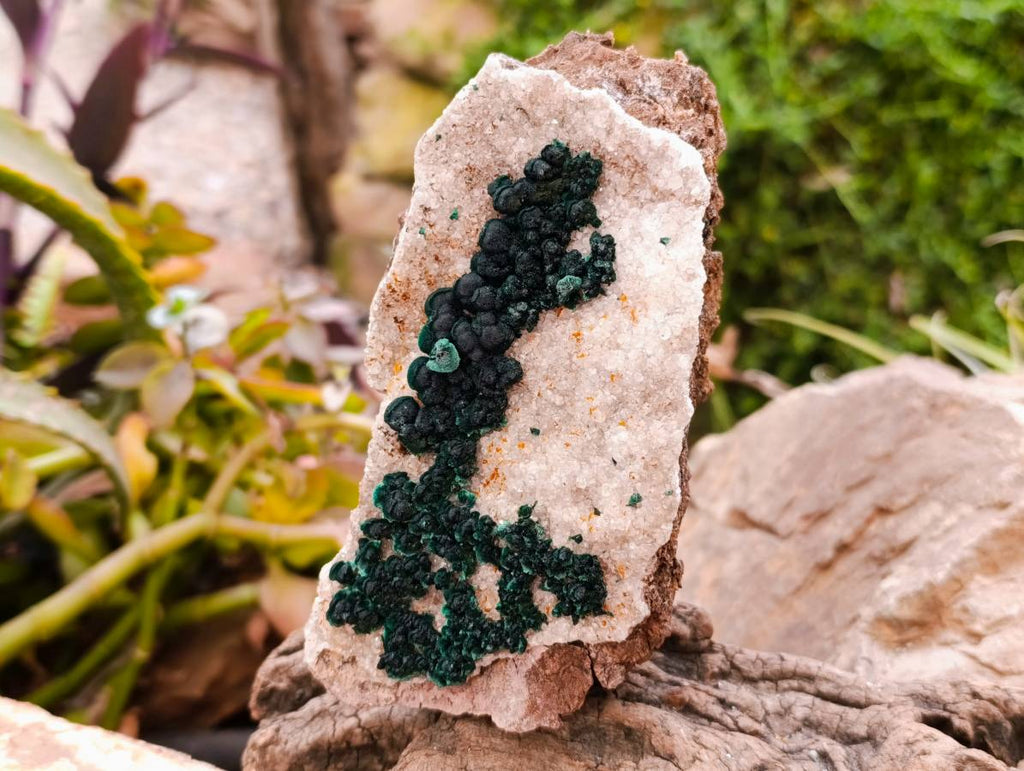 Natural Ball Malachite and Drusy Quartz On Dolomite Matrix Specimens x 2 From Kambove, Congo - Toprock Gemstones and Minerals 