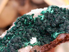 Natural Ball Malachite and Drusy Quartz On Dolomite Matrix Specimens x 2 From Kambove, Congo - Toprock Gemstones and Minerals 