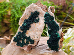 Natural Ball Malachite and Drusy Quartz On Dolomite Matrix Specimens x 2 From Kambove, Congo - Toprock Gemstones and Minerals 
