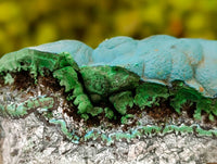 Natural Botryoidal Malacolla Specimens x 15 From Kulukuluku, Congo