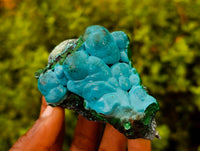 Natural Botryoidal Malacolla Specimens x 15 From Kulukuluku, Congo