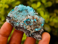 Natural Botryoidal Malacolla Specimens x 15 From Kulukuluku, Congo