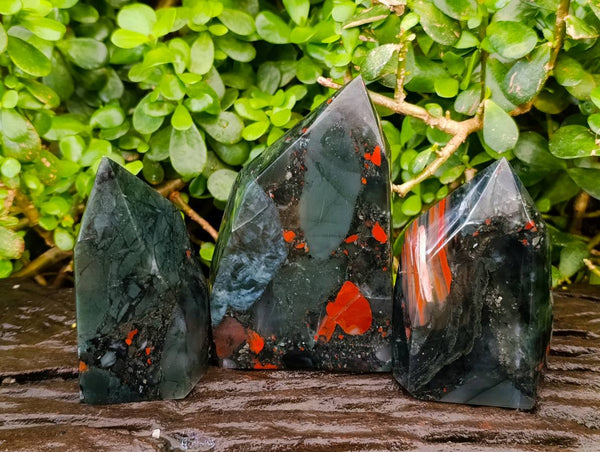 Polished Bloodstone Points x 3 From Swaziland