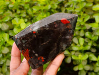 Polished Bloodstone Points x 3 From Swaziland