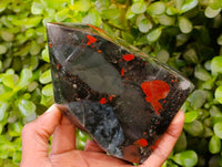 Polished Bloodstone Points x 3 From Swaziland