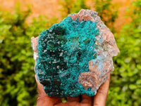 Natural Dioptase On Dolomite Specimens x 1 From Likasi, Congo - Toprock Gemstones and Minerals 