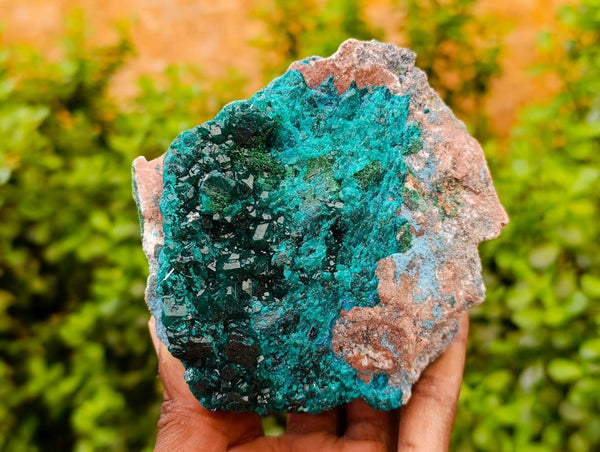 Natural Dioptase On Dolomite Specimens x 1 From Likasi, Congo - Toprock Gemstones and Minerals 