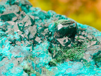 Natural Dioptase On Dolomite Specimens x 1 From Likasi, Congo - Toprock Gemstones and Minerals 