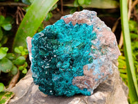 Natural Dioptase On Dolomite Specimens x 1 From Likasi, Congo - Toprock Gemstones and Minerals 
