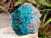 Natural Dioptase On Dolomite Specimens x 1 From Likasi, Congo - Toprock Gemstones and Minerals 