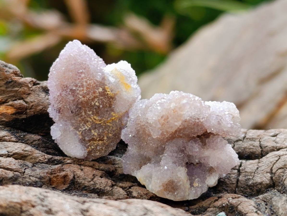 Natural Amethyst Spirit Quartz Crystals x Lot From Boekenhouthoek, South Africa - Toprock Gemstones and Minerals 