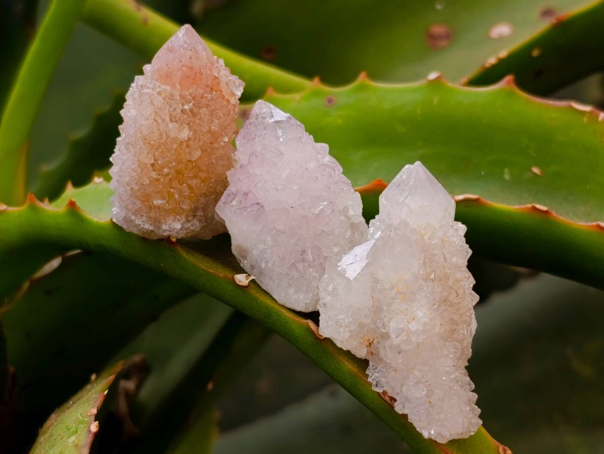 Natural Amethyst Spirit Quartz Crystals x Lot From Boekenhouthoek, South Africa - Toprock Gemstones and Minerals 