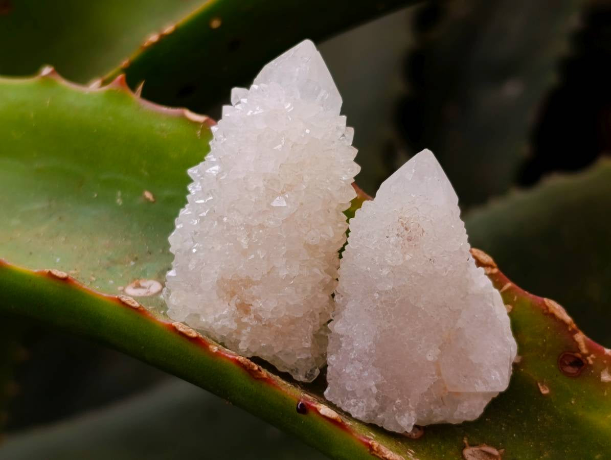 Natural Amethyst Spirit Quartz Crystals x Lot From Boekenhouthoek, South Africa - Toprock Gemstones and Minerals 
