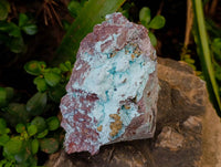 Natural Chrysocolla on Dolomite with Kolwezite Specimens x 2 From Lupoto Mine, Congo - Toprock Gemstones and Minerals 