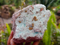 Natural Chrysocolla on Dolomite with Kolwezite Specimens x 2 From Lupoto Mine, Congo - Toprock Gemstones and Minerals 