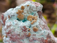 Natural Chrysocolla on Dolomite with Kolwezite Specimens x 2 From Lupoto Mine, Congo - Toprock Gemstones and Minerals 