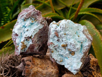 Natural Chrysocolla on Dolomite with Kolwezite Specimens x 2 From Lupoto Mine, Congo - Toprock Gemstones and Minerals 