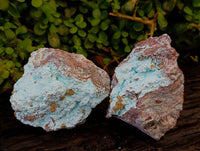 Natural Chrysocolla on Dolomite with Kolwezite Specimens x 2 From Lupoto Mine, Congo - Toprock Gemstones and Minerals 