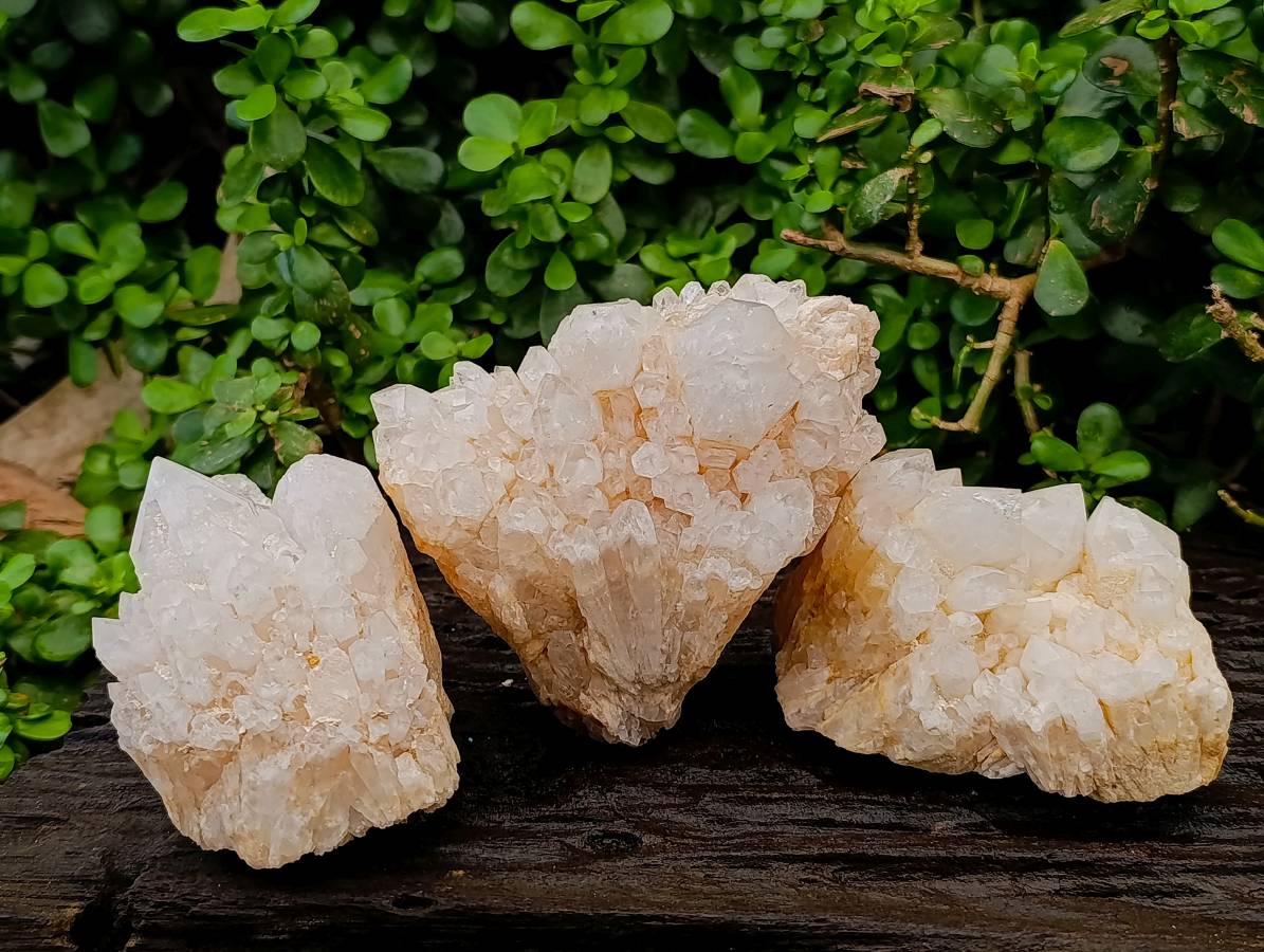 Natural Quartz Clusters x 3 From Madagascar - Toprock Gemstones and Minerals 