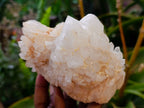 Natural Quartz Clusters x 3 From Madagascar - Toprock Gemstones and Minerals 