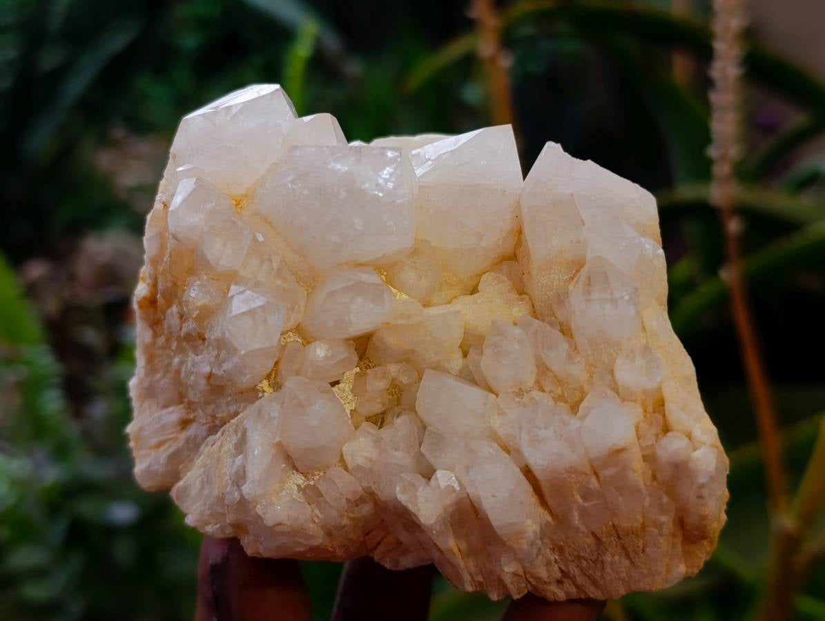 Natural Quartz Clusters x 3 From Madagascar - Toprock Gemstones and Minerals 