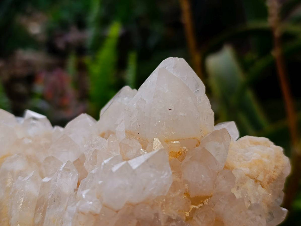 Natural Quartz Clusters x 3 From Madagascar - Toprock Gemstones and Minerals 