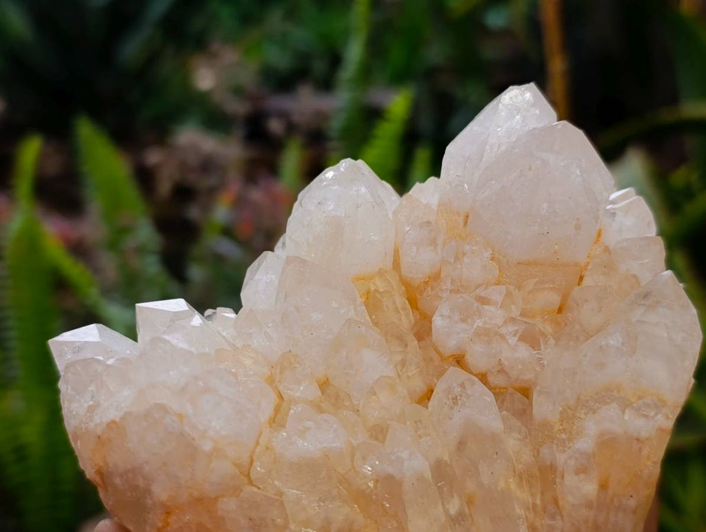 Natural Quartz Clusters x 3 From Madagascar - Toprock Gemstones and Minerals 