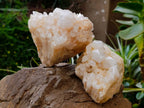 Natural Quartz Clusters x 3 From Madagascar - Toprock Gemstones and Minerals 
