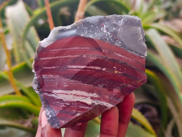 Natural Cobbed Bloodstone Specimens x From Swaziland - Toprock Gemstones and Minerals 