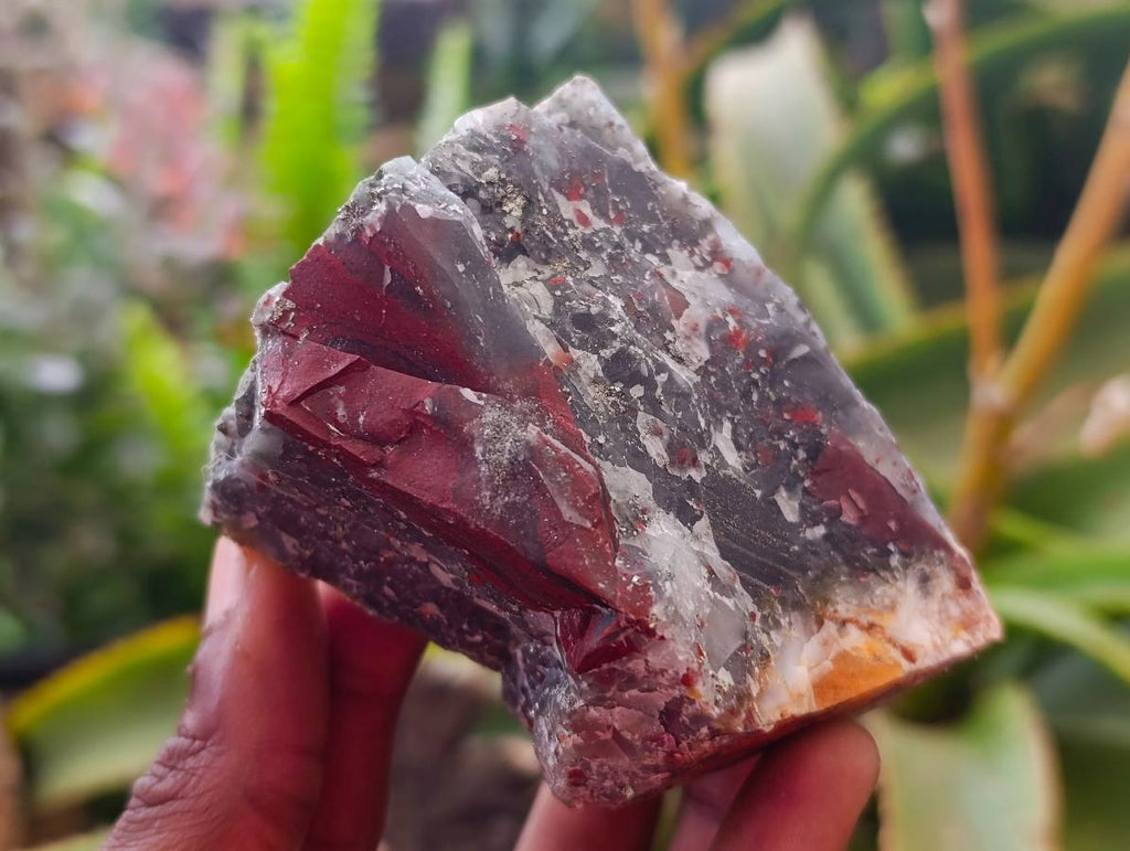 Natural Cobbed Bloodstone Specimens x From Swaziland - Toprock Gemstones and Minerals 