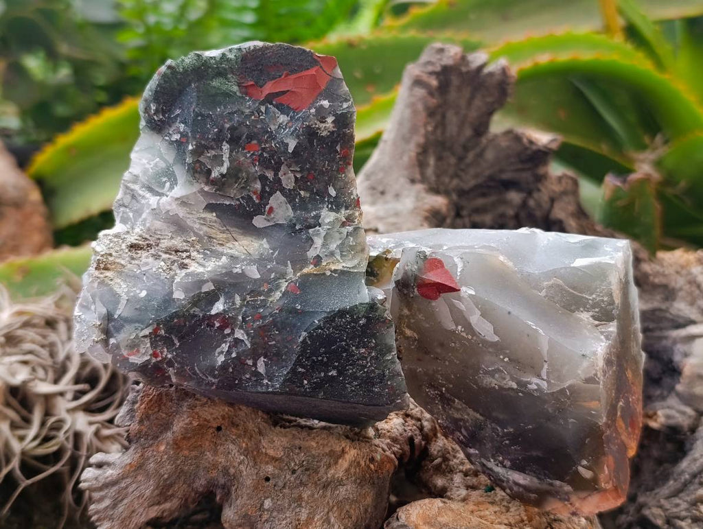 Natural Cobbed Bloodstone Specimens x From Swaziland - Toprock Gemstones and Minerals 