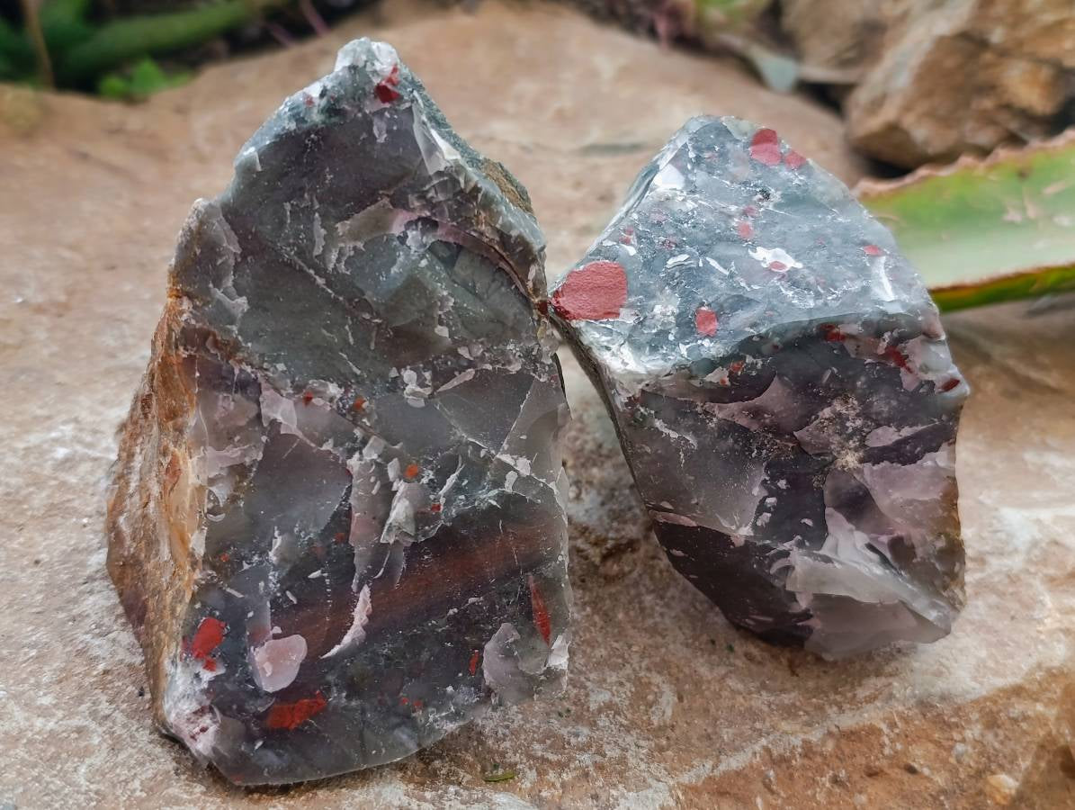 Natural Cobbed Bloodstone Specimens x From Swaziland - Toprock Gemstones and Minerals 