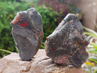 Natural Cobbed Bloodstone Specimens x From Swaziland - Toprock Gemstones and Minerals 