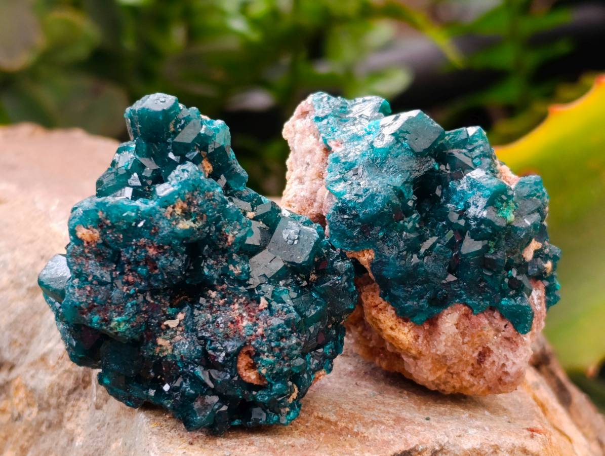 Natural Dioptase On Dolomite Specimens x 12 From Likasi, Congo - Toprock Gemstones and Minerals 