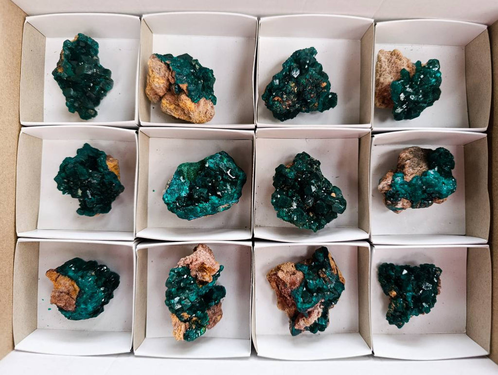 Natural Dioptase On Dolomite Specimens x 12 From Likasi, Congo - Toprock Gemstones and Minerals 